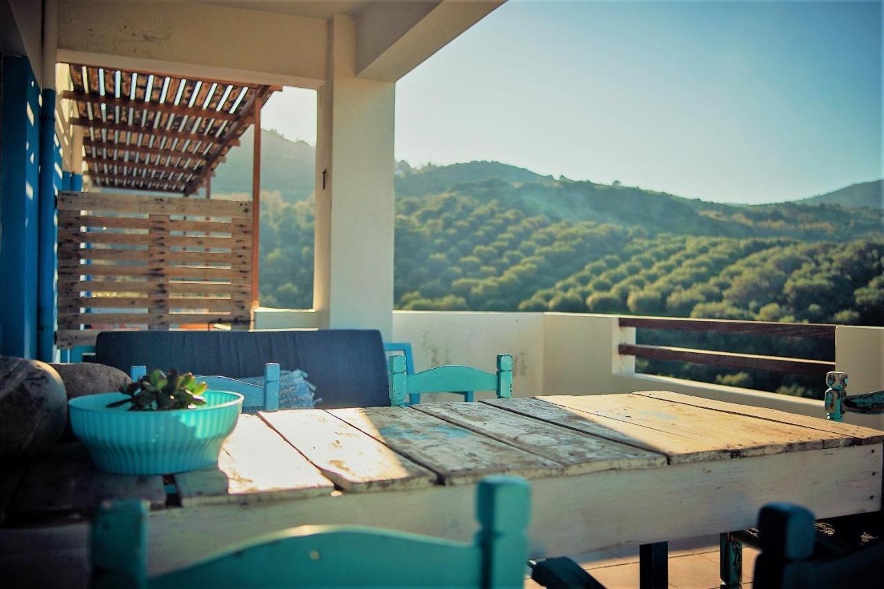 Villa Cretan olives farm retrait à Agia Pelagia  Extérieur photo