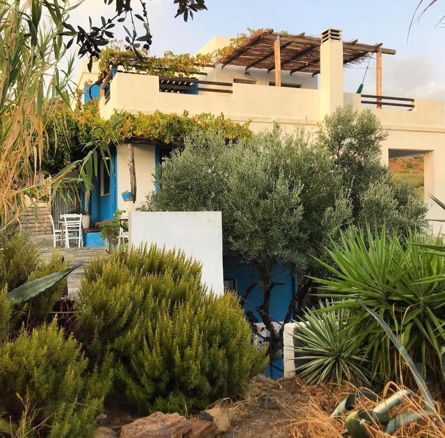 Villa Cretan olives farm retrait à Agia Pelagia  Extérieur photo