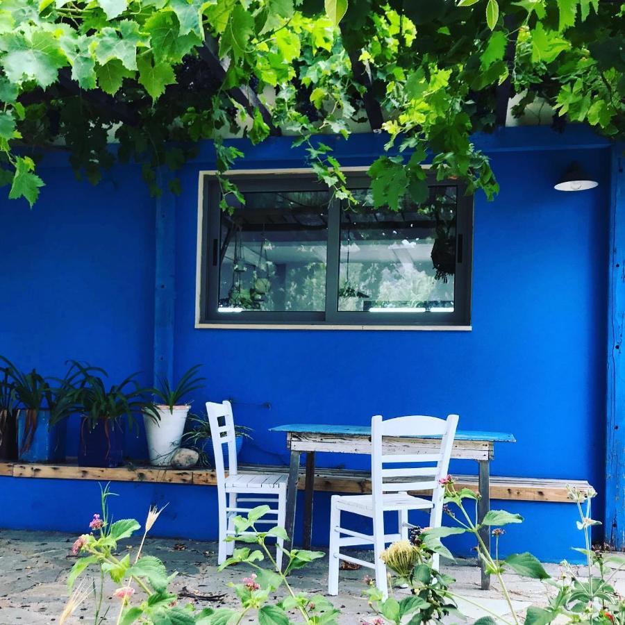 Villa Cretan olives farm retrait à Agia Pelagia  Extérieur photo