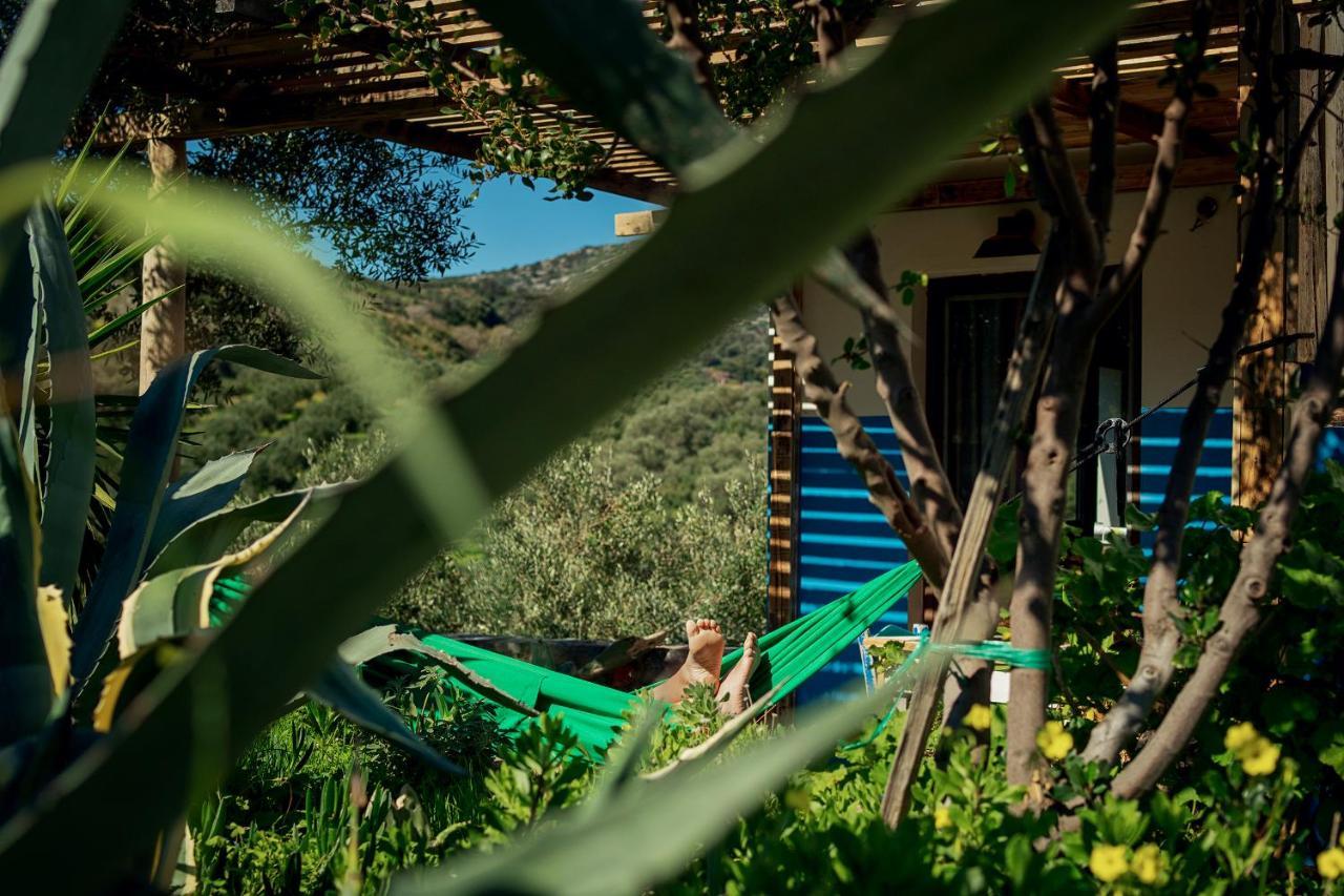 Villa Cretan olives farm retrait à Agia Pelagia  Extérieur photo