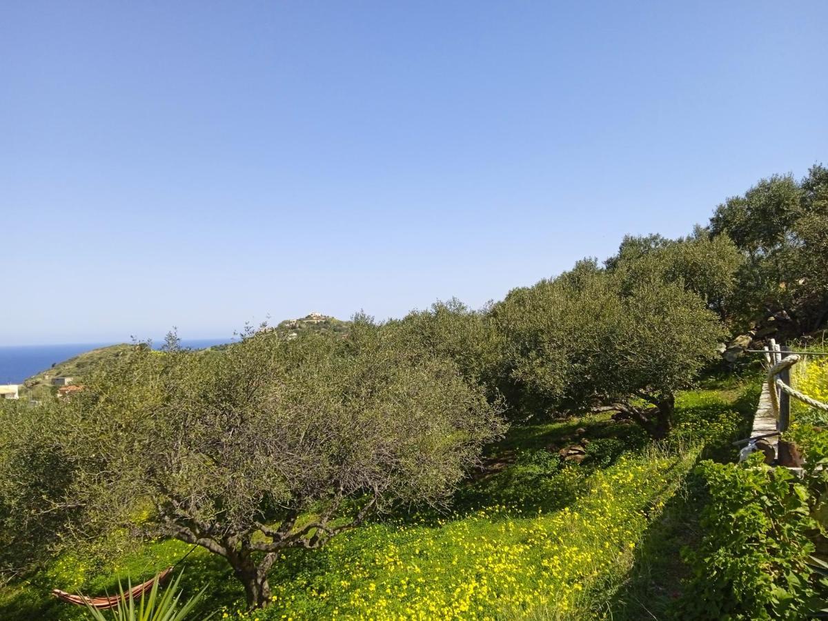 Villa Cretan olives farm retrait à Agia Pelagia  Extérieur photo