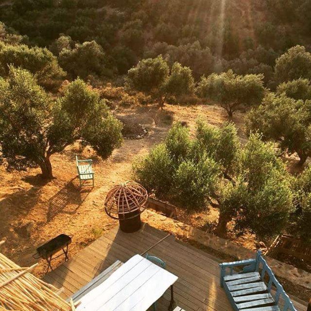 Villa Cretan olives farm retrait à Agia Pelagia  Extérieur photo
