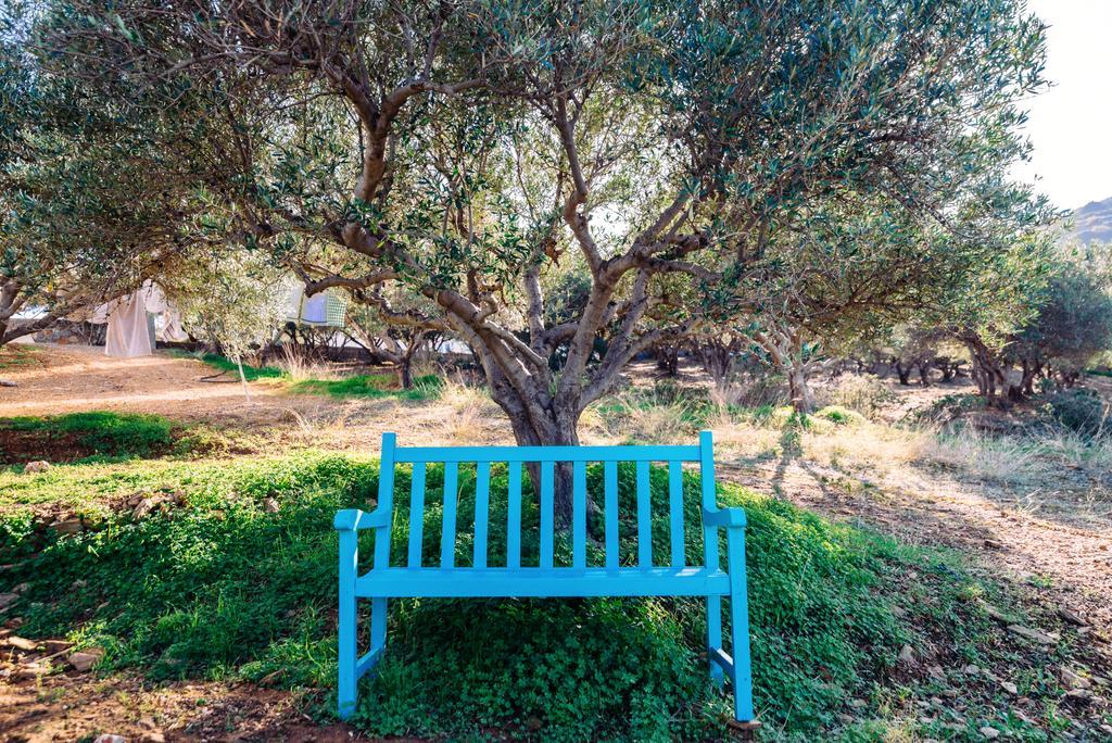 Villa Cretan olives farm retrait à Agia Pelagia  Extérieur photo